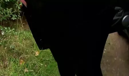 Home Bercinta Hot video bokep wanita hamil