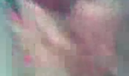 kulit berwarna sepong xhamster vidio kulit putih kemaluan